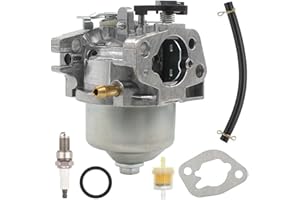 ZAMDOE Vergaser für Champion & Mountfield M150 RM45 RV150 SV150 V35 V40 Motor Benzin Rasenmäher # 18550016/0 118550148/0 LHP16 mit Dichtung Kraftstoffleitung Kraftstofffilter