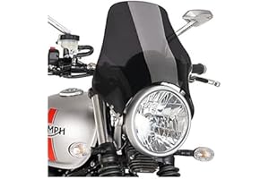 PUIG Pare-Brise Naked Yamaha YBR125/CUSTOM 05' - 13' Fume Fonce