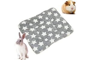 OUDQFCJ 1 Pcs Biancheria da Letto in Peluche per Piccoli Animali Inverno Caldo Fluffy Flanella Pile Coperta Letto per Gattini Conigli Cincillà Porcellini d'India Grigio 30 x 30 cm