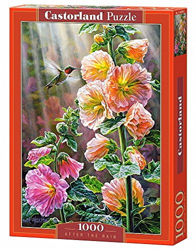 Preisvergleich Produktbild Castorland C-103584-2 - Puzzle After the Rain, 1000 Teile