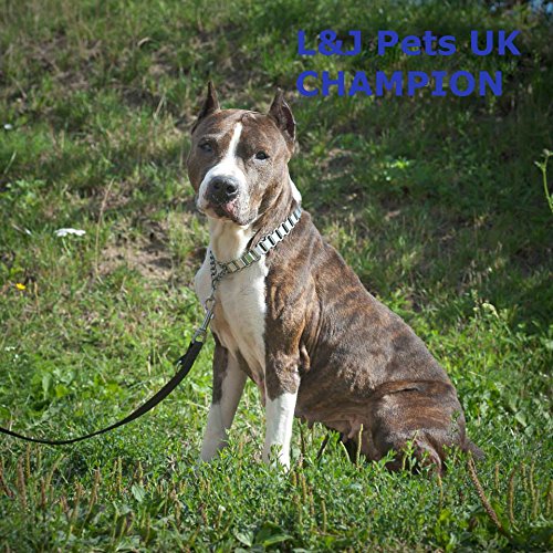Strong-Chrome-Semi-Check-Half-Choke-Chain-Dog-Choke-Collar-Metal-Choker