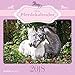 Mein Pferdekalender 2018 - Broschürenkalender (30 x 60 geöffnet) - Tierkalender - Wandplaner by 