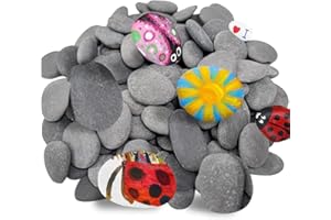 EIOURVY 20 Pezzi Pietre Piatte per Pittura, Pietre per Pittura, Pietre Piatte per Pittura, Da Usare per Dipinti Colorati, Decorazioni, Vasi di Fiori, Acquari