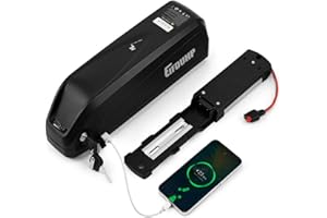 EIFDUHP Batteria per Bicicletta Elettrica, Batteria Ebike 36V 48V / 22.5Ah-10Ah per 1500W-50W Motore Bici, con Base 4Pin/5Pin, Caricabatterie e Blocco Sicurezza (48V 20AH(50-1500W) 5 Pin)