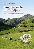 Image de Fossiliensuche im Tafeljura: Eine Anleitung für den Sammler