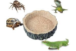 Saim Small Crawler Pet Feeding Round bowl Food Water Non-toxic Resin Dish Suitable for Reptile Turtle Tortoise Scorpion Lizard Crabs Pets Supplies