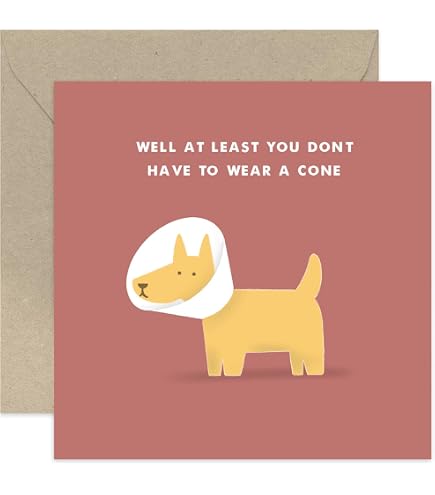 Old English Co. Genesungskarte 'Feel Better' Mit Bären-Design – 15x15 Cm, Blanko Innen, Mit Umschlag, Für Erwachsene & Kinder
