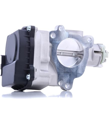 Réparation Phares Indicateurs Corps Papillon Magneti Marelli