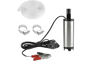 Stainless Steel Diesel Fuel Pump: YOYIAG 12V 51mm Water Pump, Submersible Pump with Clip and 3 Meter Hose, Submersible Water Pump with Detachable Filter for Car Speed Boat Motorhome