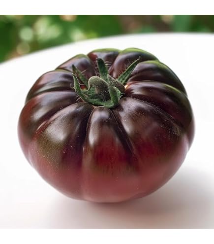 Semillas De Faba De Marisco 100 G, Variedad Tradicional Gallega De Crecimiento Determinado, Ciclo Precoz, Ideal Para Huerta