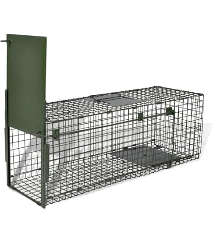 Piège à Animaux Pliable Kerbl 1 Entrée | 80x25x30 Cm | Pour Chats, Fouines, Lapins