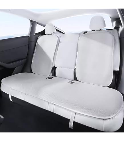 Hoofdsteun Voorstoel Dacia Sandero Stepway 2016 Kleur Zwart (D94) - 247 Auto Onderdelen