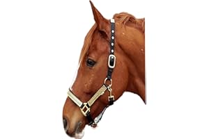 TYSONS BREECHES Halfter Hilly Go Goldfarben Glitzer wie Strass Minishetty Shetty Pony VB WB X- Full Kleiner Kalter Tysons B- Ware !!! (VB)