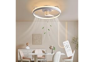 Baerolc Ventilador de Techo con Iluminación, 40CM 32W Lámpara de Techo con Ventilador LED Regulable Ventilador de Techo con luz 6 Velocidades Ventilador de Techo para Dormitorio Cocina Comedor
