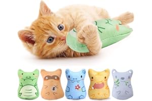 SURALIN Set da 5 Pezzi di Giochi per Gatti Giochi per Gatti in Casa, Giocattoli di Peluche da Masticare, Dentizione Interattiva, Erba Gatta Giocattoli per Gattini