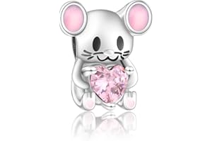 Jokmeo Colgante de plata 925 para pulseras o collares, compatible con diseños Pandora y europeos. Adecuado para mujeres y niñas.DZ1