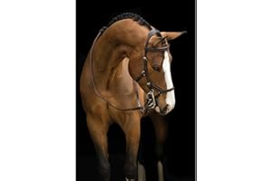 HORSEWARE Ireland Rambo Micklem Trensenzaum für Wettkämpfe