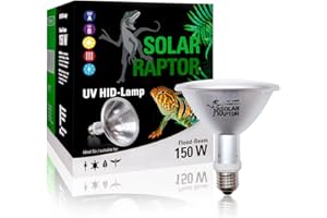 ECONLUX FARETTO SPOT solarraptor HID, 150 Watt