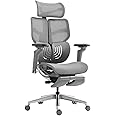 HINOMI X1 Ergonomic Office Chair with Footrest - Computer Desk Chair for Home Office, Comfy Office Chair with Back Support, Computer Chair for Home, Study Chair, Mesh Office Chair (Grey, M)