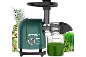 ‎LUFVEBUT Sellerie Karotten Entsafter, 200 Watt Slow Elektrische Entsafter für Hartes/Weiches Obst und Gemüse, Langsame Entsafter Maschine Spülmaschinenfest für Tomaten Ggranatapfel Gurken leicht zu reinigen