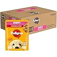 Pedigree Puppy Wet Dog Food, Chicken Chunks in Gravy, 70 g (Pack of 90), Complete & Balanced Meal for Puppies