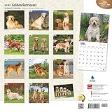 Image de Golden Retrievers 2016 Calendar
