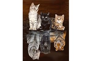 Meision Diamond Painting 5D Painting Bilder DIY Diamond Painting Set DIY Diamond Full Digital Painting für Erwachsene und Kinder Geeignet für Wohnzimmer, Schlafzimmer, Büro 30X40cm - Katze