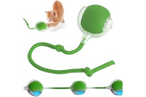 Poxtedsr Balle à Rouler pour Chat Et Chien, Balle Interactive à Rouler pour Chats, Jouet Interactif Chien Qui Bouge Toute Seule (Vert)
