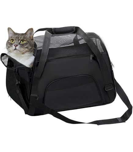MILISTEN 3-teilige Haustier-Tragetasche – Atmungsaktive Reisetasche Für Eichhörnchen, Chinchillas & Kleintiere
