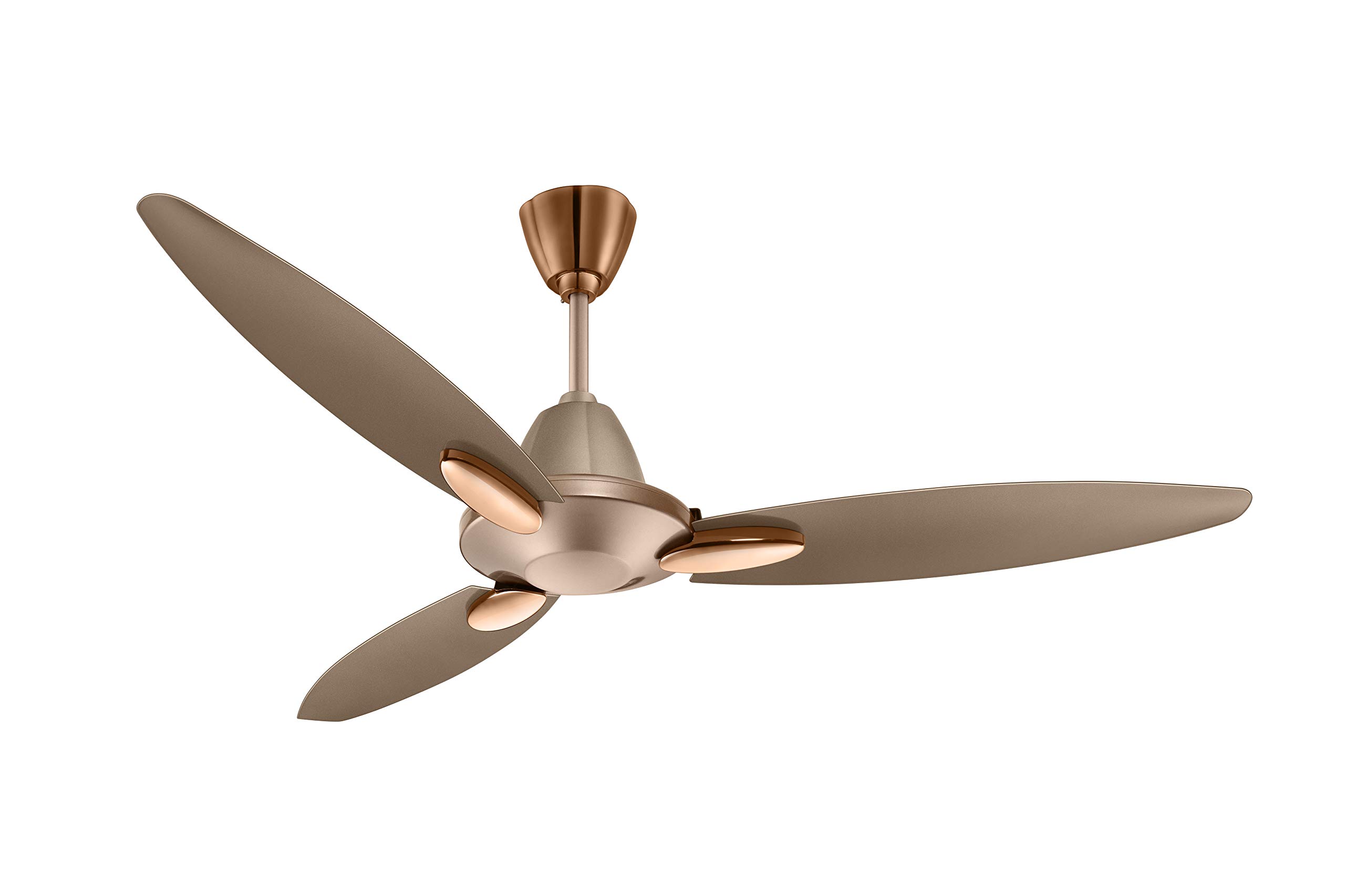 Usha Bloom Daffodil Goodbye Dust Ceiling Fan 1250mm, Sparkle Golden and Brown - Image 4