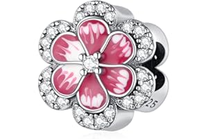 Jokmeo 925er Sterlingsilber Charms für Armbänder Charms Anhänger Kompatibel mit Pandora-Armbänder, Charm Bead Pendant Geschenk für Frauen Mädchen