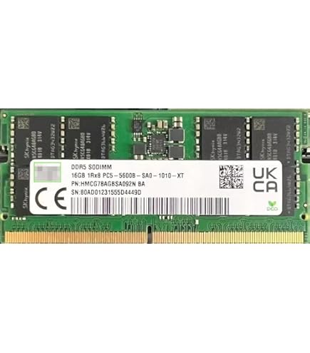 crucial 24GB DDR5 SODIMM メモリー Crucial 24GB DDR5-5600 SODIMM