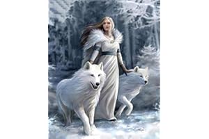 MANYILE DIY 5D Diamond Painting Kits,Full Round Drill Embroidery Paintings Pasted Pictures Cross Stitch Arts Crafts Perfect for Relaxation and Home Wall Decor(Beauty Fairy Snow Wolf,30 * 40cm)