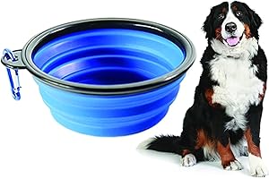 PARENCE - Ciotole da viaggio per cani e gatti, pieghevole in silicone/Ciotola di trasporto certificata senza componenti per sostanze volatili - colore casuale