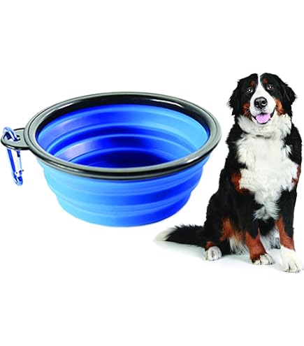 Ciotola Pieghevole Portatile Per Cani E Gatti – Silicone, Ideale Per Viaggi, Escursioni E Alimentazione In Movimento