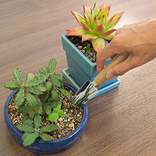 (7in1) ORIGINAL GardenHOME ZIMMERPFLANZEN WERKZEUG SET, SEHR ROBUST, KLEINER FORMFAKTOR, Pflanzkelle, Blumenkelle, Winkelharke, Gartenschere, Blattschere u. Sprühflasche m. GRATIS TRAGETASCHE - 6