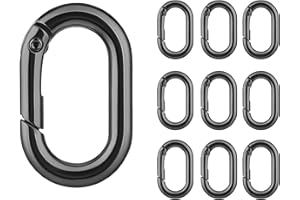 WANGENPING 10 sztuk owalnych karabińczyków, breloczków do kluczy, 25 mm, zapięcie zatrzaskowe ze stali nierdzewnej, karabińczyk ze stopu, do plecaka, na kemping, wędkowanie, wędrówki, podróże