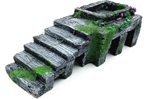 OMEM Caja de cultivo de reptiles, refugio, habitat, decoración, terrario, escondite para tortugas, rampa solar, cuenco de agua, alimentación, humidificación, cuevas