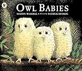 Owl Babies Owl Babies