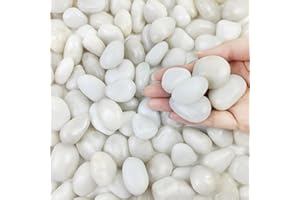 FANTIAN 2 lbs Small White Pebbles for Plant Pots, 20-30 mm Decorative White Rocks for Garden, Plants, Aquariums Rocks, White Stones for Vase and Outdoor Garden Stones