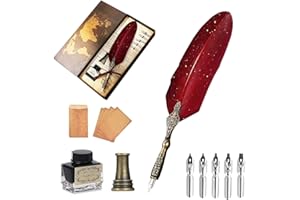 AOMAYLL - Bolígrafo de pluma y pluma, diseño retro de pluma de ganso, 5 puntas de lápiz, tinta y papel para cartas, regalo de escritura para principiantes