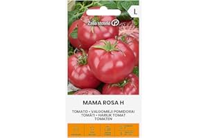 ŽALIA STOTELĖ Zalia stotele | TOMATE - MAMA ROSA H Semillas | Semillas de Hortalizas | Semillas Tomate | semillas de plantas | semillas de jardín | 1 paquete