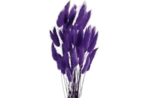 ROOBZE Pampas decorative Rabbittail fiori secchi decorativi 50 pezzi Count Natural fiori secchi decorativi Bouquet, Decorazione camera da letto fiori secchi Indoor Wedding Home Decor (Viola)