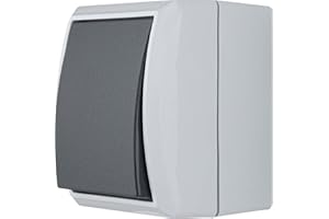 REV Ritter 0511581777 - Interruttore/deviatore IP44, AP, colore: Grigio