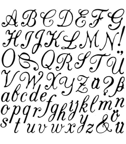 Fustella XCUT Per Cupcake - Acciaio Inox Per Fustellatrici E Goffrature