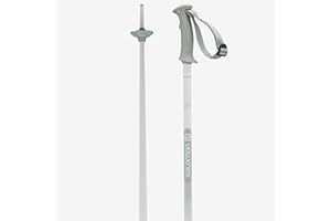 Salomon Northpole Lady Ladies Aluminium Ski Poles