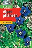 Image de Ulmer Naturführer Alpenpflanzen (Ulmers Naturführer)