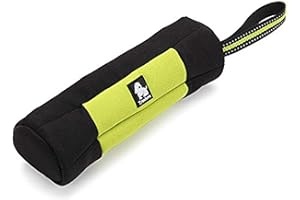 Truelove Dog Treat Pouch Snack Bag Training & Behavior Aids TLT1951 (Neon Yellow,M)