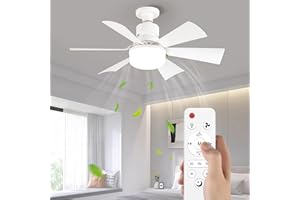 HFAN Small Ceiling Fans with Lights, E27 30W 16.5inch Ceiling Fan with Light RC Timing, 3 Speeds 3 Colors (3000-6500K) LED Ceiling Light, Modern Fan Lamp for Small Space Bedroom Living Room