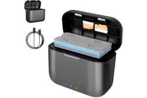 DXHBC Dexian Chargeur de Type-C pour Insta360 ONE X3 Caméra d'Action, X3 Mini Station de Charge pour Deux Batteries, Concentrateur de Charge Haute Vitesse avec Câble USB-C (Chargeur)